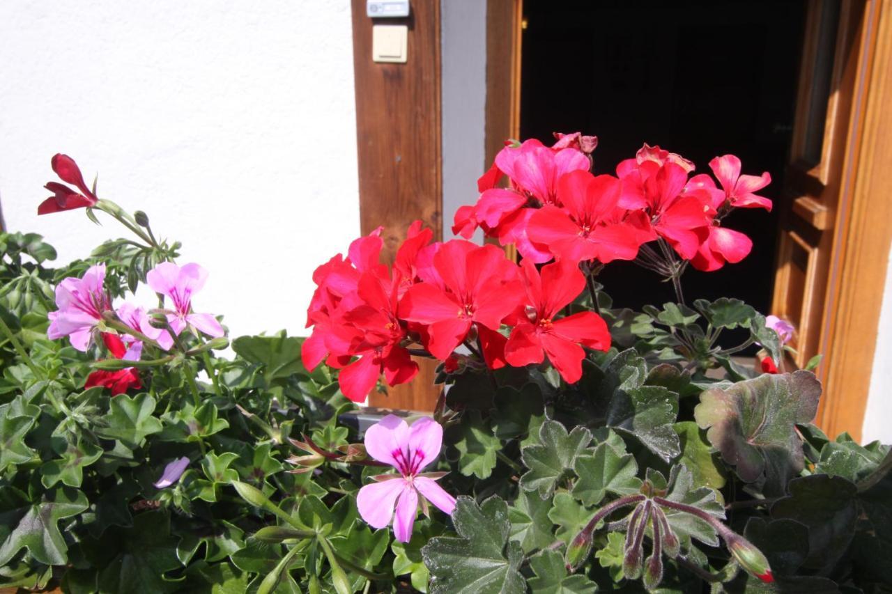 Ausfernerhof Apartment Berwang Luaran gambar
